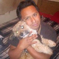sonido original