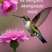 roseanebastos8