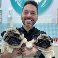 doutorpug