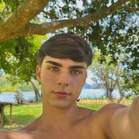goncalves_zz