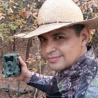 wellingtonfilhodamata