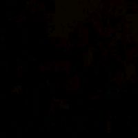 xitado_zx3
