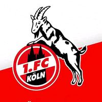 fc.koelle.fans