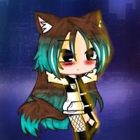 luizavigamer