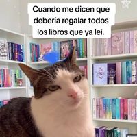 lectoraannima