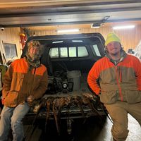 logan_himess