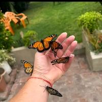quenta_aguilar