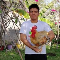 jorgeavillaruz15