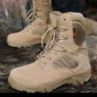 podocarpusfalcatuskosovo