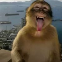 fortniteuser165337638328