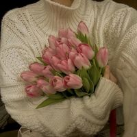 jerse_2