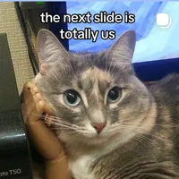 original sound - loveinfinity5774