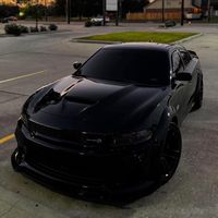 lobosolitariochapin502b4