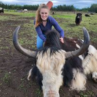 alaska.homesteading.girl