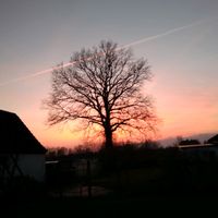 rivalstarsmarleen