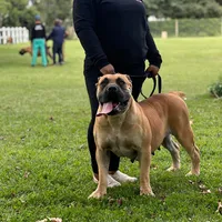 original sound - manjoms18