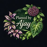 ajay.plants