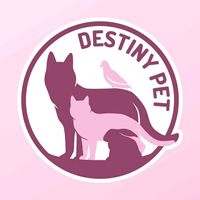 destiny_pet_cz