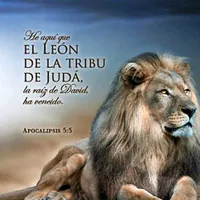 original sound - ivis.amador