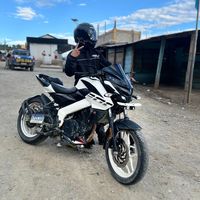 seles3269