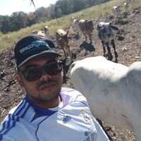 manoelrodrigues766