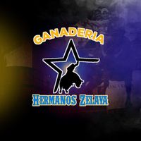 ganaderi.hermanos.zelaya