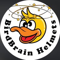 birdbrainhelmets