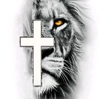 vdeos.motivaciona564