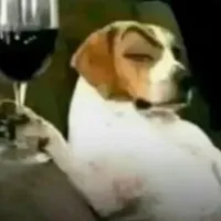 original sound - ._naiikira.editss