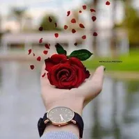 original sound - haider24680