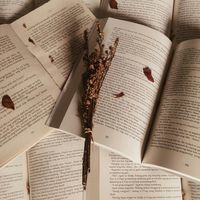 book.lovers.only_