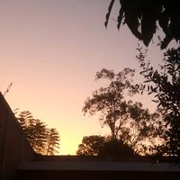 lauradelarosamascorro19