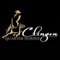 clingenquarterhorses