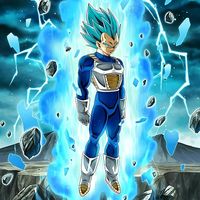 bernardo_1449