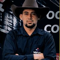 luizalbertofernandesribe