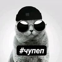 tewiq своровал