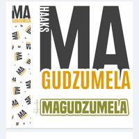 haaks_magudzumela