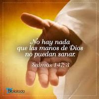 frases__l6