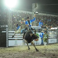 victorcawboyalves414