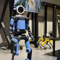 bostondynamicsofficial