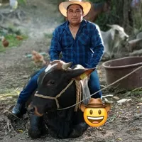 original sound - ramiroperez6871