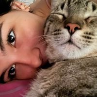 uservalennn