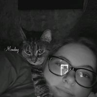 katlover2485