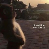 unknown_oogie