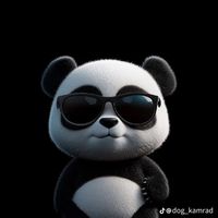 __panda__2.0