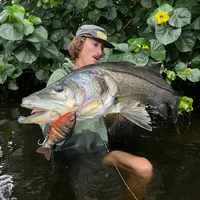 original sound - backwaterboys