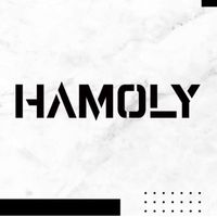 hamoly.store