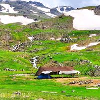 الصوت الأصلي