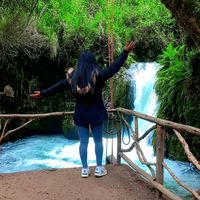 sayury_mq_01