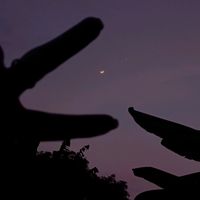 laura_16.9